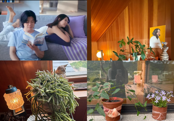 이효리, 직접 찍은 60억 평창家…별의별 식물이 다있네