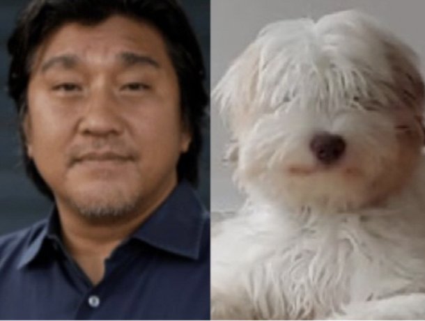 '흑백' 에드워드 리, 반려견을 낳았네 