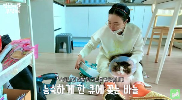 &apos;54세&apos; 김정난, 혼자사는 &apos;3층집&apos;서 노묘 6마리 육아 수액 맞히고, 이발도 직접