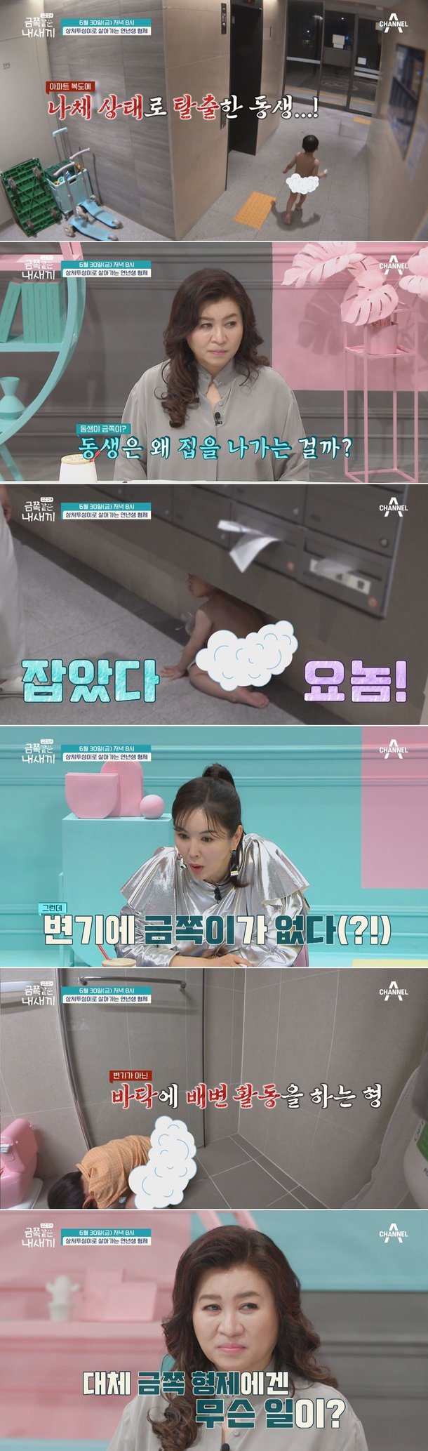 나체 탈출+바닥 배변…금쪽 형제, 돌발 행동에 탄식 : 네이트 연예