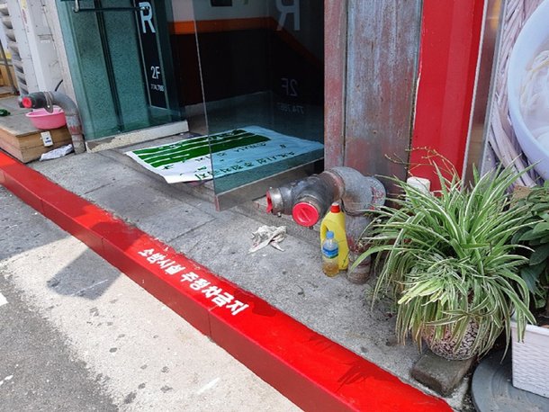 도로 위 '빨간 실선' 여기 주차하면 과태료가 2배? : 네이트 뉴스