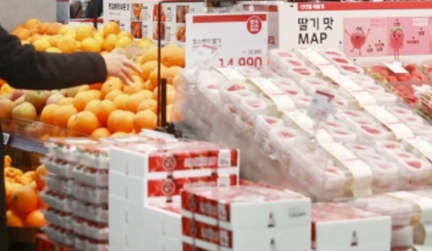 사과·배만 폭등?…감귤, 단감 등 과일 가격 일제히 강세