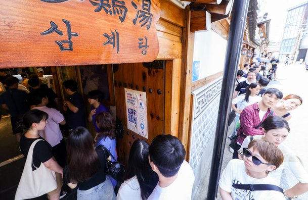 초복 삼계탕, 재료비 떨어졌다는데…식당에서는 한 그릇에 1만6000원 훌쩍