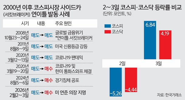 변동성 장세 시장 안정 장치