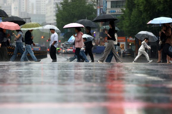 Korea FDA and Major Medical Institutions Warn: High Temperature and Humidity Increase Risk of Food Poisoning, Allergies, Depression, Hypertension, and Waterborne Diseases