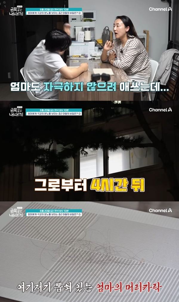 기사 이미지