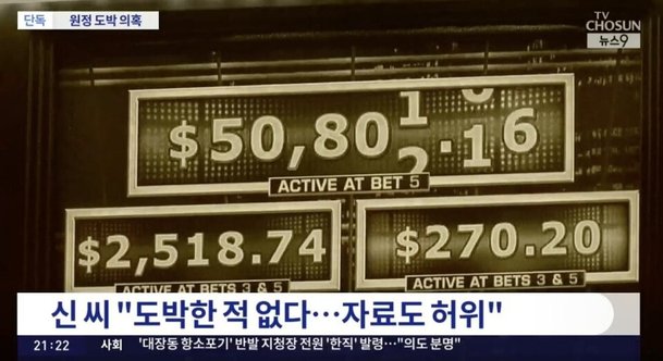 네이트뉴스 관련 보도 이미지