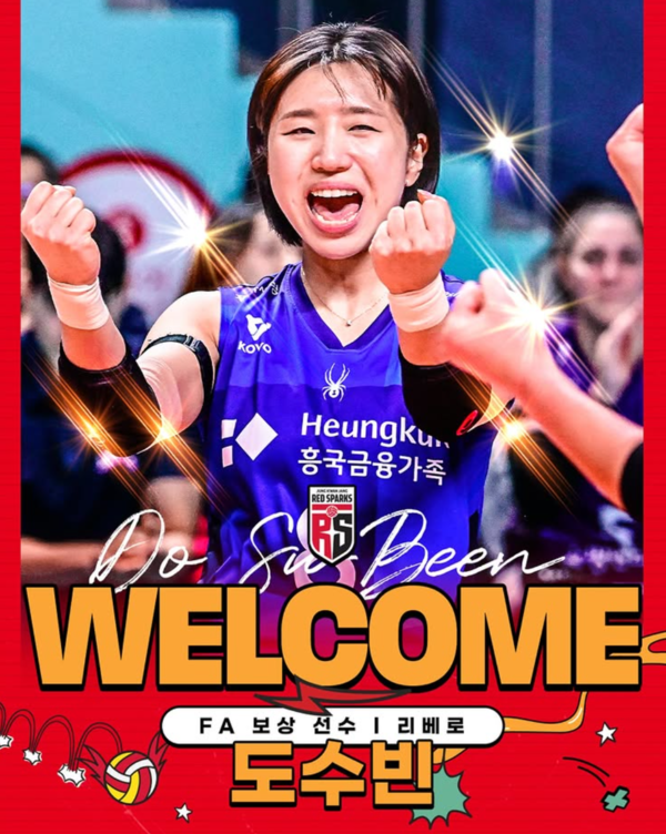 도수빈 지명 관련 보도 이미지