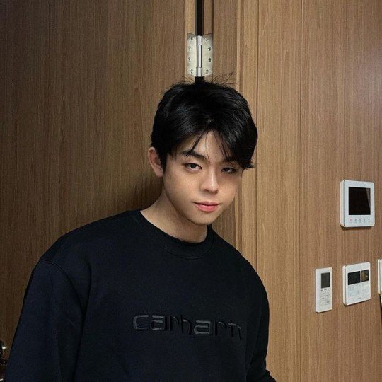 ê·¸ë¦¬ ë²Œí¬ì—… í›„ íƒœí‰ì–' ì–´ê¹¨ ìžëž' 5ì›