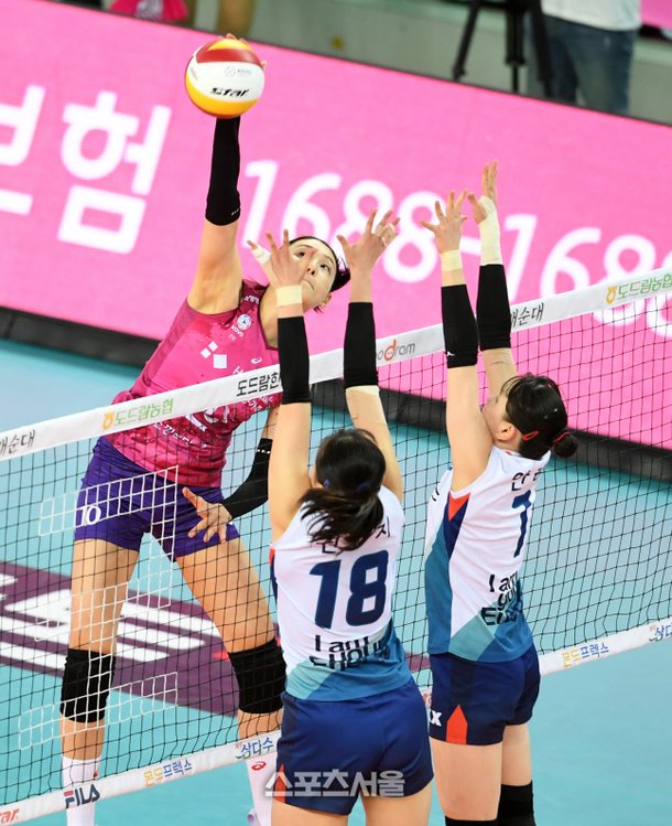 í¬í†  ê¹€ì—°ê²½ì˜ ìŠ¤íŒŒì´í¬ ê³µê²© ë„¤ì´íŠ¸ ìŠ¤í¬ì¸ 