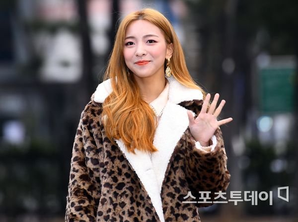 í°ë¸ì´ë°ì¼ë¦¬ í¬í 