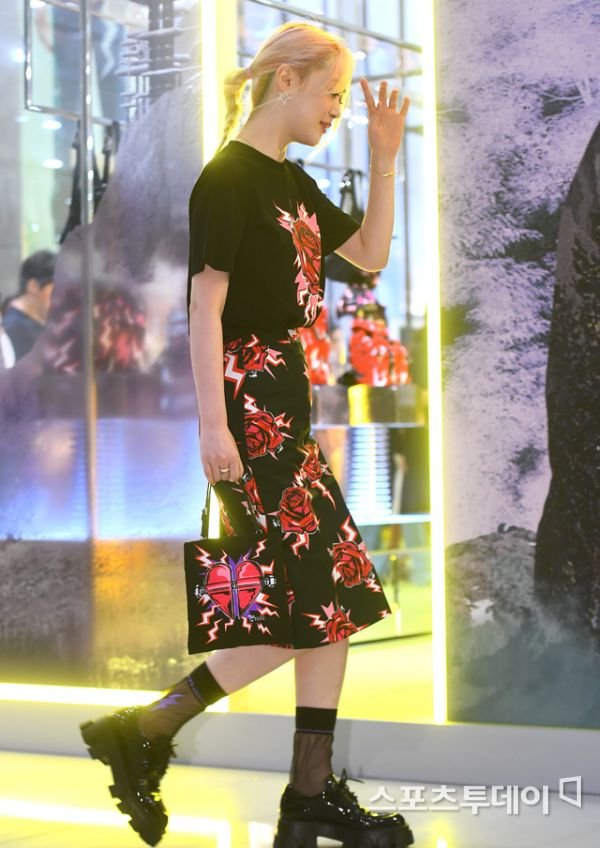 í°ë¸ì´ë°ì¼ë¦¬ í¬í 