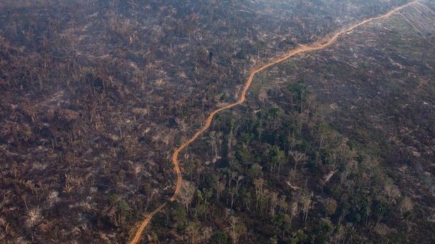 우림 파괴 열대 열대우림의 파괴