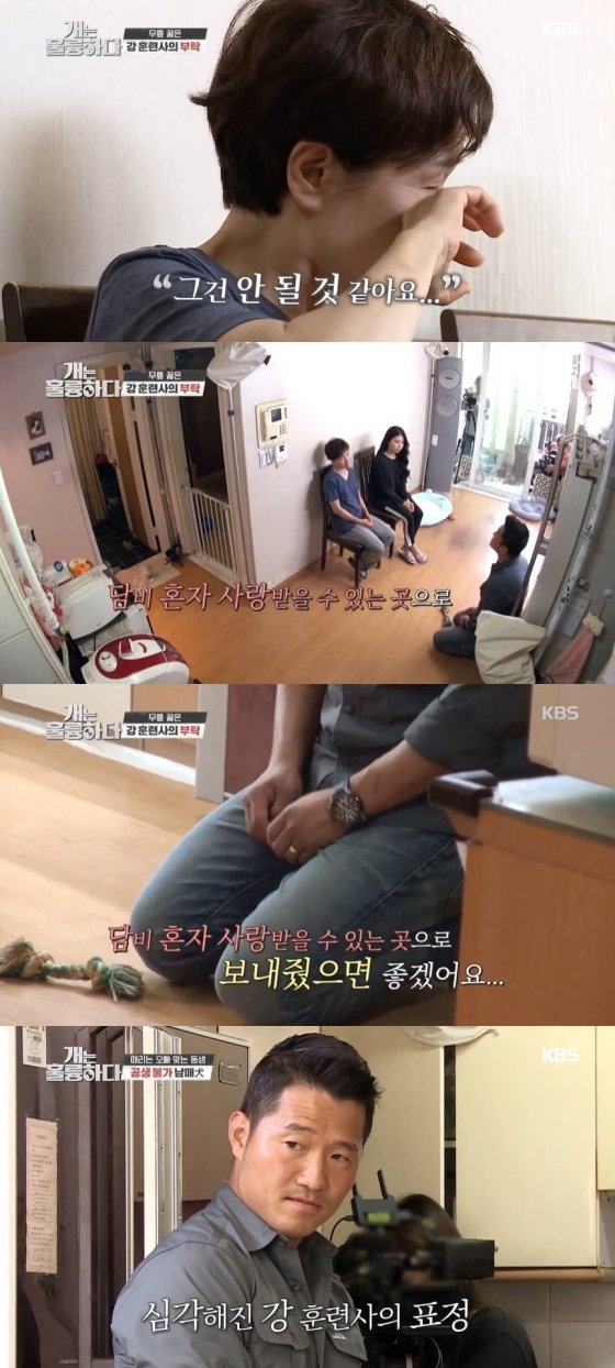 /사진=KBS 2TV '개는 훌륭하다' 방송화면 캡처