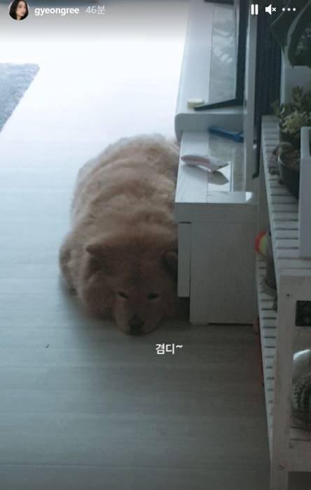 /사진=경리 인스타그램