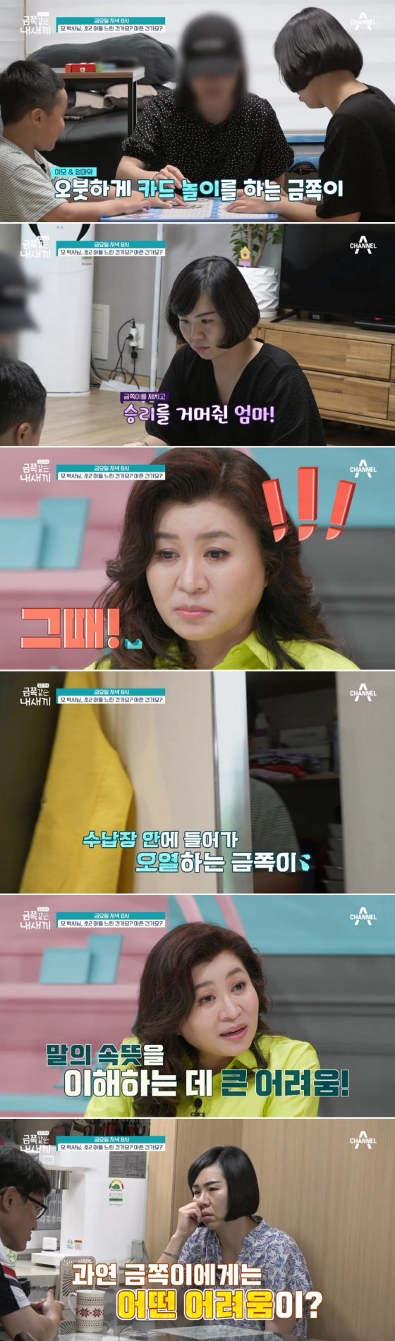 초3 아들 야동 시청, 어떻게 할까요? 오은영 솔루션은? [금쪽같은 내새끼] : 네이트 연예