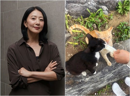 김희애, 길고양이 챙겨주는 일상…한강에서 자주 만나는