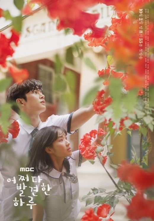 동백꽃 필 무렵' 폭격 속 '어쩌다 발견한 하루' [리포트픽] : 네이트 연예
