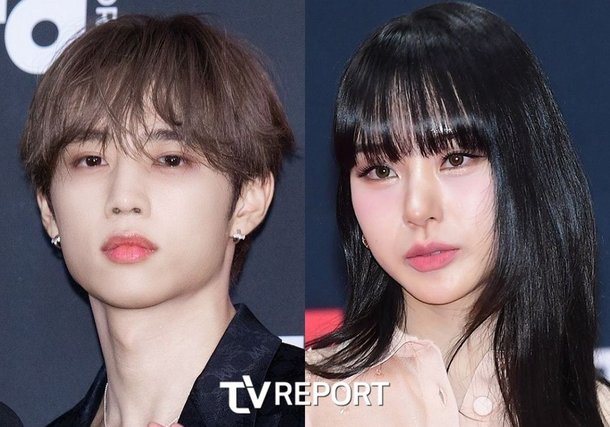 노제부터 제니까지…잊을만 하면 연예인 갑질, 환한 미소 뒤 진짜 얼굴 [리폿-트]