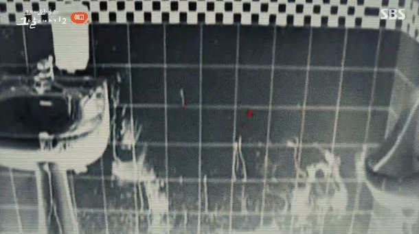 ê¼¬ê¼¬ë¬´ ì´íƒœì› ì‚´ì¸ì‚¬ê±´ ì¡°ì¤'í•„ ì£½ì¸ ì§„ë²