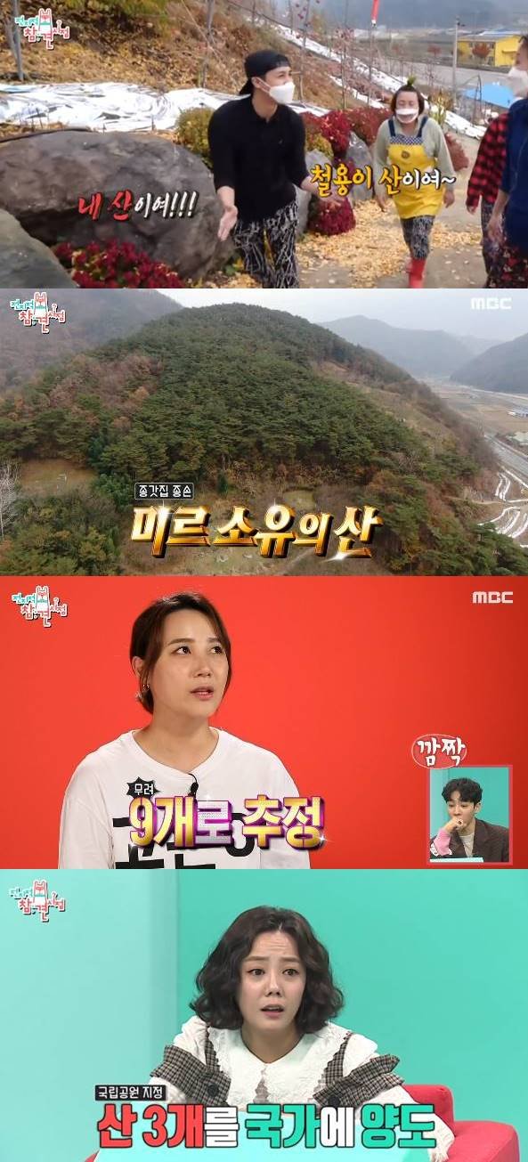 기사 이미지