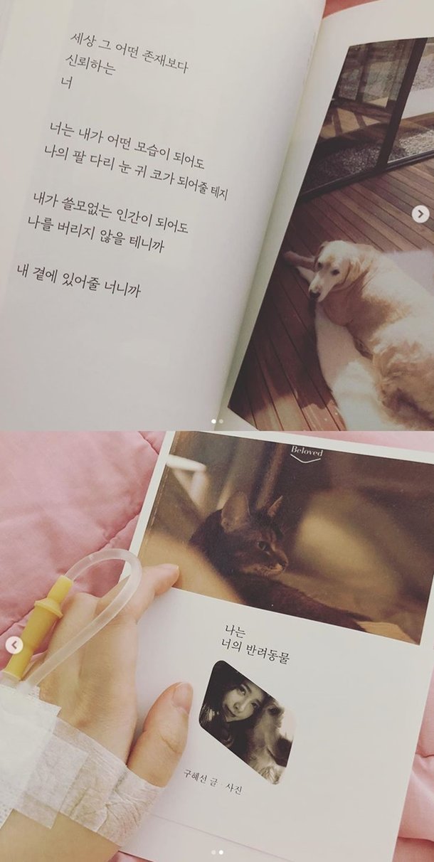 티브이데일리 포토