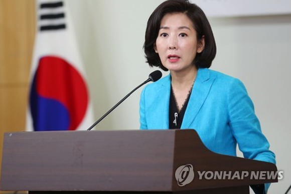 ë‚˜ê²½ì› 20ì¼ êµ­ë¯¼ì˜íž˜ ë‹¹ ëŒ€í'œ ì¶œë§ˆ ì„ ì–¸ ë„¤ì´íŠ¸ë‰´ìŠ¤