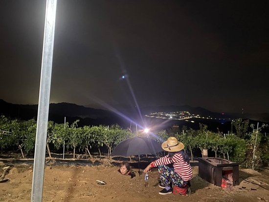 기사 이미지