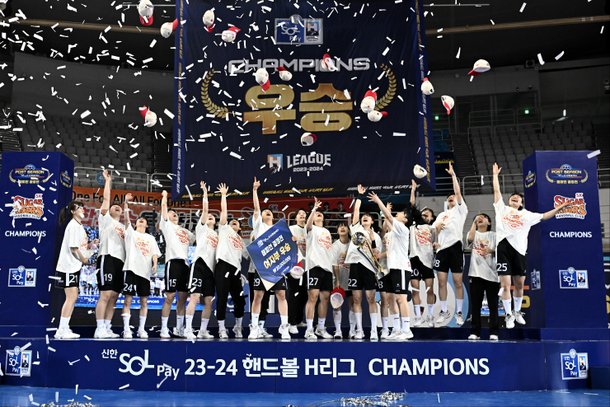 8強からビッグマッチ成功！全国体戦ハンドボール女子一般「熱い」：ネイトスポーツ