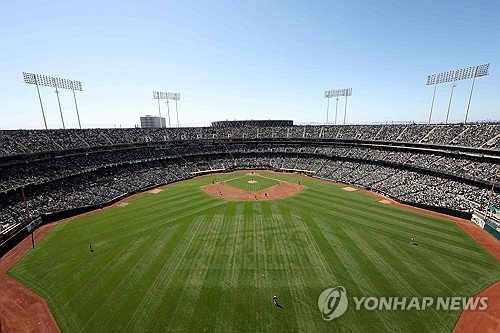 야구장 그라운드 점검 중인 일본 선수단