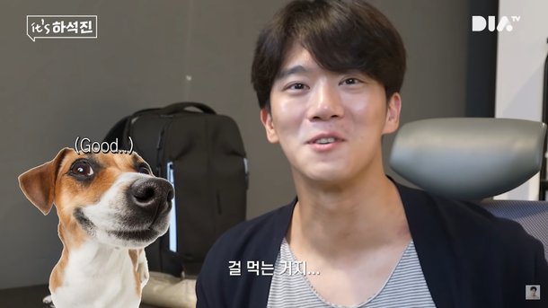 강아지가 젖을 먹지 않을 때 어떻게 하시나요