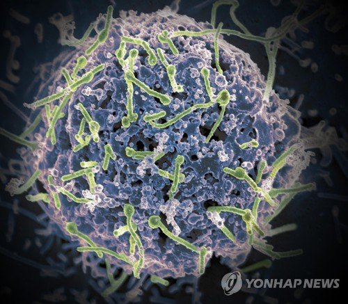 기사 이미지