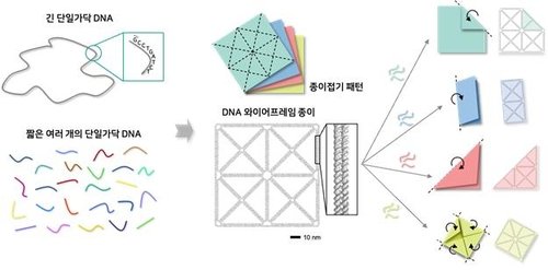 자유롭게 접었다 폈다…DNA로 나노 구조체 만들었다