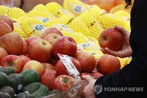 정부, 사과·배 비축·계약재배 물량 확대 검토