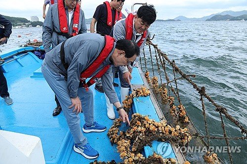 수협 quot;정부에 고수온 피해 재난지원금 지원 촉구 계획quot;