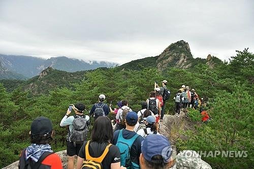 [르포] 1년에 단 하루만 오를 수 있는 설악산 비경 달마봉