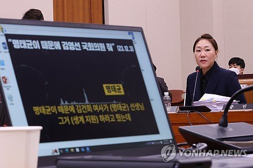 명태균 의혹 폭로 강혜경, 국감서