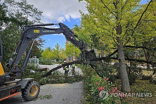 quot;아파트 창문 날아갈 듯quot;…태풍급 강풍에 강원서 피해 속출