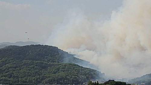 Daegu Hamjisan Fireは強風に広がっています…Response 3rd Stage（包括的な3レポーター）：Nate News