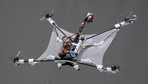 Folding Membrane Wings Spread Out Freely: Flying Squirrel Drone - News Directory 3