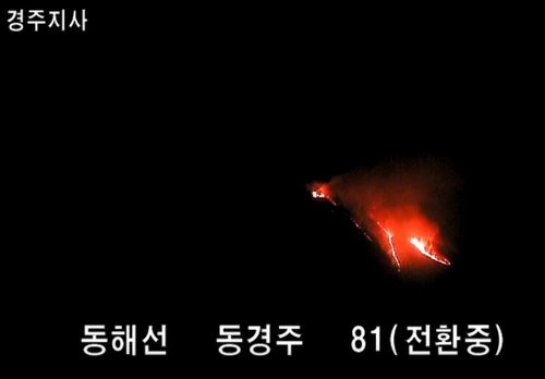 경주 산불 관련 사진(연합뉴스 계열 보도 이미지)