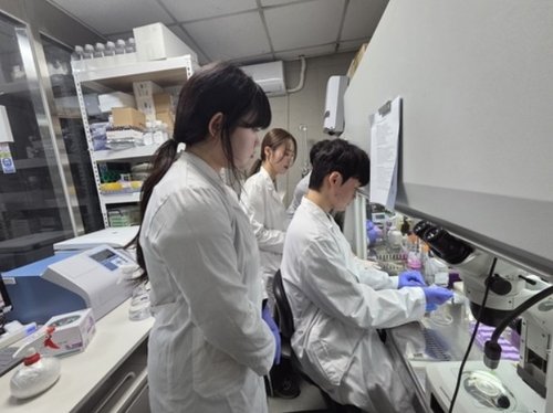 [대학 AI부트캠프] ①기업과 손잡고 'AI 인재' 양성 속도전