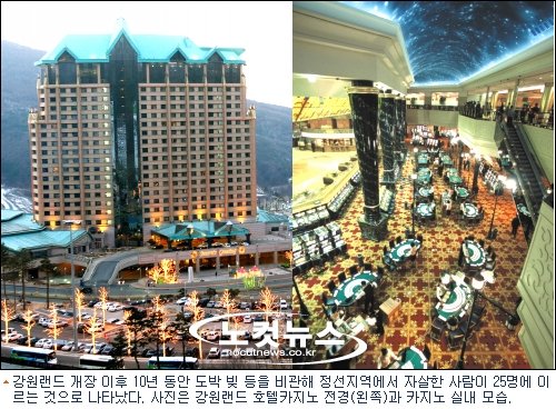 섬뜩한 강원랜드' 도박…자살…노숙…성매매까지 : 네이트뉴스