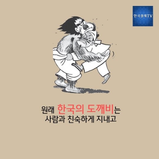 카드뉴스] 도깨비의 진실 : 네이트 뉴스