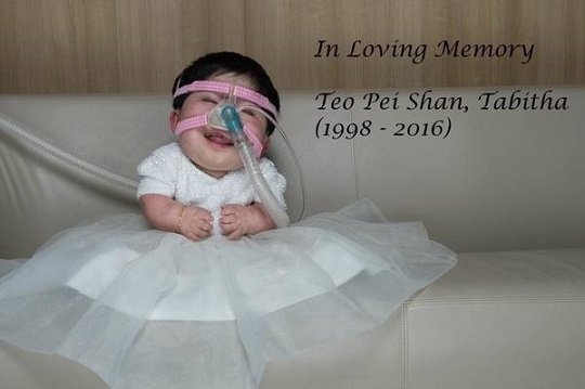 실파 셰티 아기 사진 원본