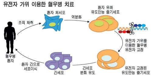 가위로마법처럼 이미지