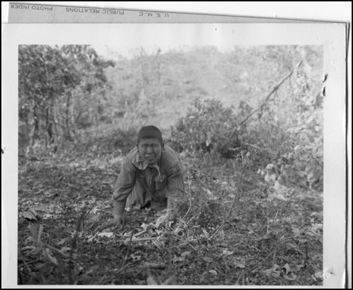 ��� �̹���