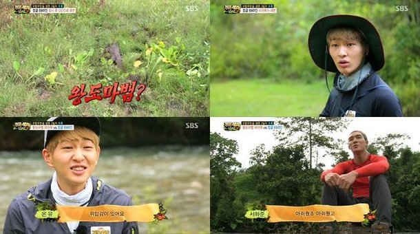 Law of the Jungle