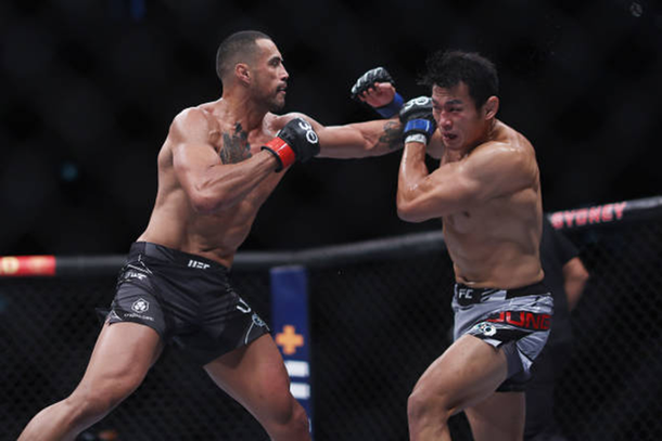 러시아 "UFC 정다운 잘했지만…승률 23% 미만" : 네이트 스포츠