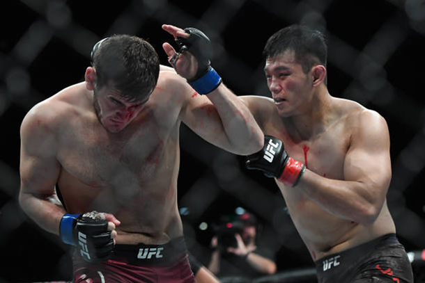 러시아 "UFC 정다운 잘했지만…승률 23% 미만" : 네이트 스포츠